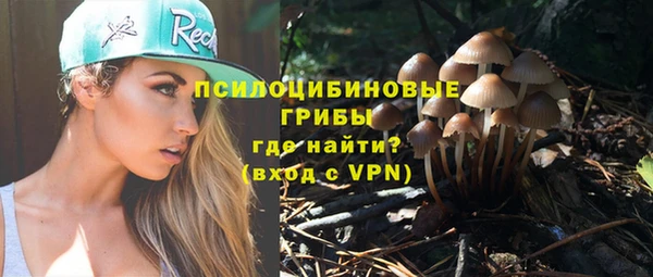 МДПВ Арсеньев