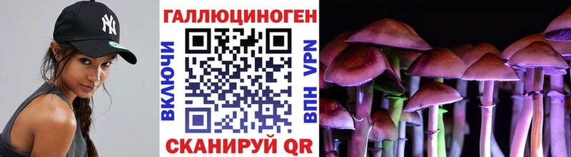 что такое наркотик  Болотное  Галлюциногенные грибы MAGIC MUSHROOMS 